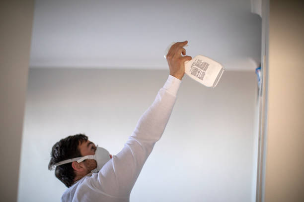 Best Mold Removal Company Near Me  in Cockrell Hill, TX