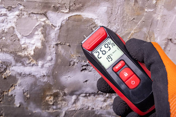 Best Residential Mold Removal  in Cockrell Hill, TX