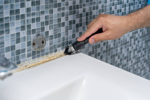 Best Mold Removal Near Me  in Cockrell Hill, TX